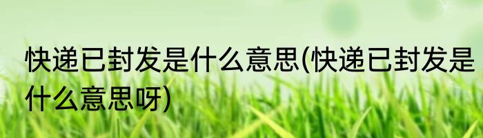 快递已封发是什么意思(快递已封发是什么意思呀)