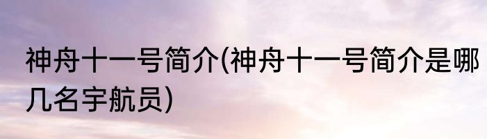 神舟十一号简介(神舟十一号简介是哪几名宇航员)