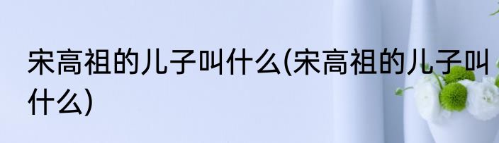 宋高祖的儿子叫什么(宋高祖的儿子叫什么)