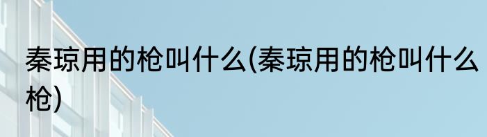 秦琼用的枪叫什么(秦琼用的枪叫什么枪)