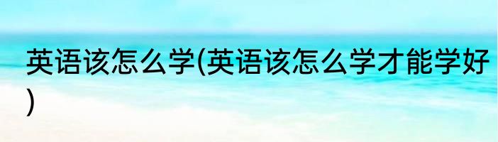 英语该怎么学(英语该怎么学才能学好)