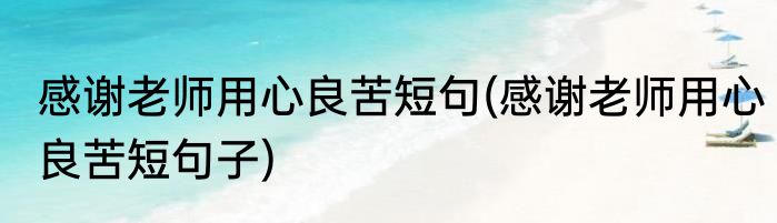 感谢老师用心良苦短句(感谢老师用心良苦短句子)