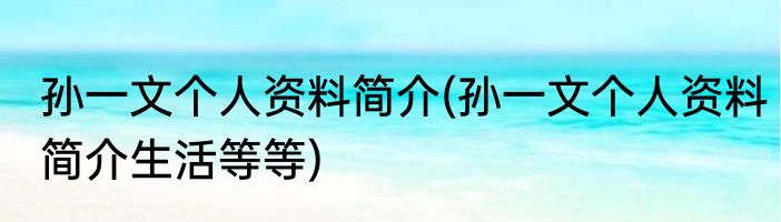 孙一文个人资料简介(孙一文个人资料简介生活等等)