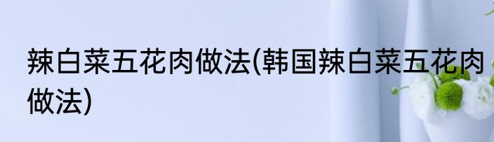 辣白菜五花肉做法(韩国辣白菜五花肉做法)