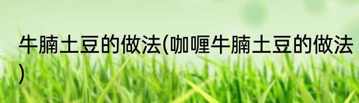 牛腩土豆的做法(咖喱牛腩土豆的做法)