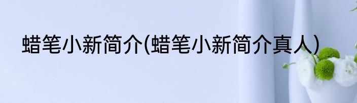 蜡笔小新简介(蜡笔小新简介真人)
