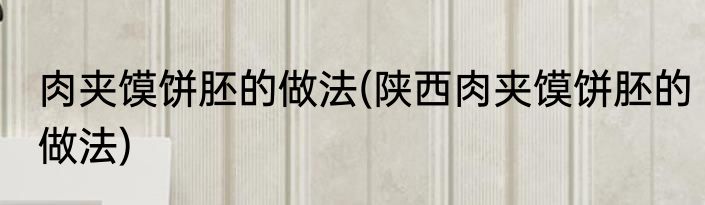 肉夹馍饼胚的做法(陕西肉夹馍饼胚的做法)