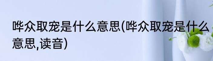 哗众取宠是什么意思(哗众取宠是什么意思,读音)