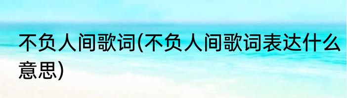 不负人间歌词(不负人间歌词表达什么意思)