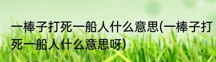 一棒子打死一船人什么意思(一棒子打死一船人什么意思呀)