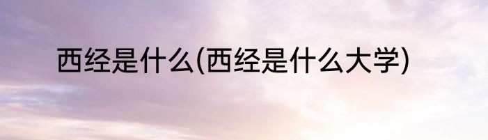 西经是什么(西经是什么大学)