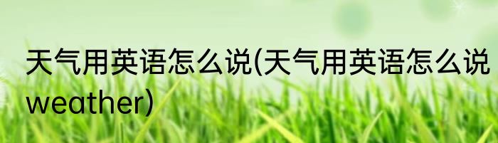天气用英语怎么说(天气用英语怎么说weather)