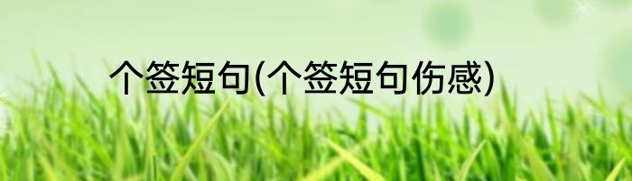 个签短句(个签短句伤感)