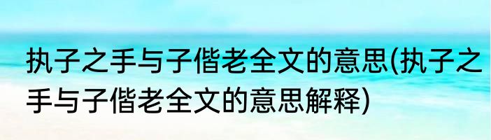 执子之手与子偕老全文的意思(执子之手与子偕老全文的意思解释)