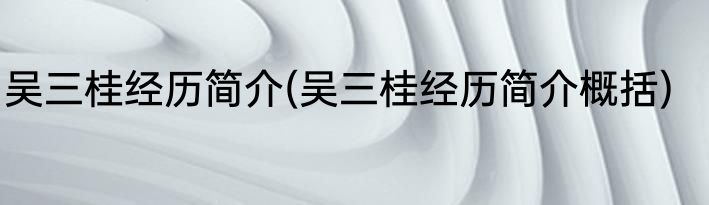 吴三桂经历简介(吴三桂经历简介概括)