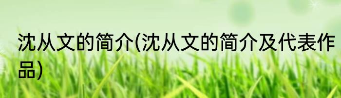 沈从文的简介(沈从文的简介及代表作品)