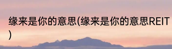 缘来是你的意思(缘来是你的意思REIT)