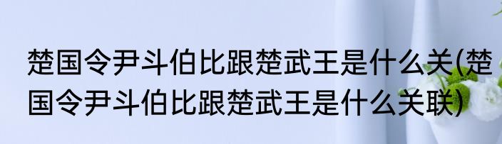 楚国令尹斗伯比跟楚武王是什么关(楚国令尹斗伯比跟楚武王是什么关联)