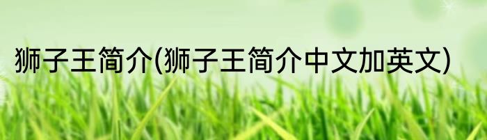 狮子王简介(狮子王简介中文加英文)