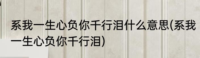 系我一生心负你千行泪什么意思(系我一生心负你千行泪)