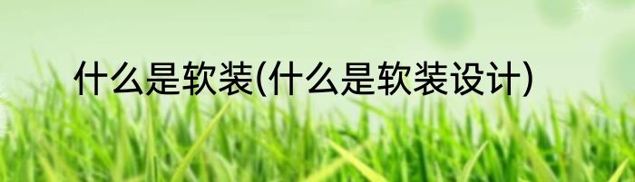 什么是软装(什么是软装设计)