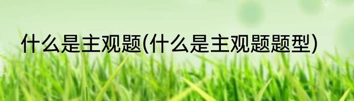 什么是主观题(什么是主观题题型)