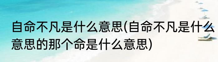 自命不凡是什么意思(自命不凡是什么意思的那个命是什么意思)