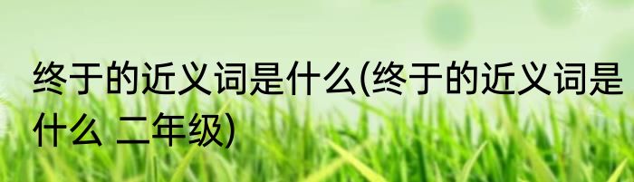 终于的近义词是什么(终于的近义词是什么 二年级)