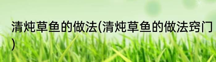 清炖草鱼的做法(清炖草鱼的做法窍门)