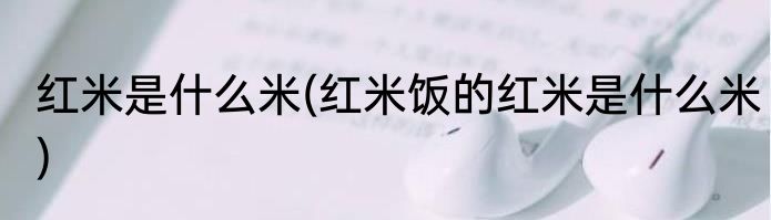 红米是什么米(红米饭的红米是什么米)