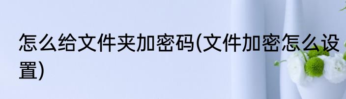 怎么给文件夹加密码(文件加密怎么设置)