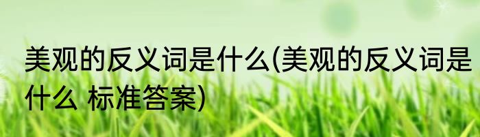 红烧清江鱼的做法(红烧清江鱼的做法大全)