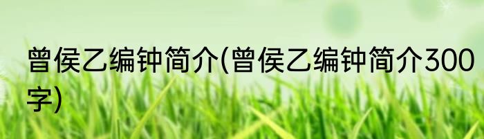 曾侯乙编钟简介(曾侯乙编钟简介300字)