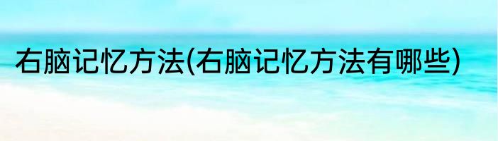右脑记忆方法(右脑记忆方法有哪些)