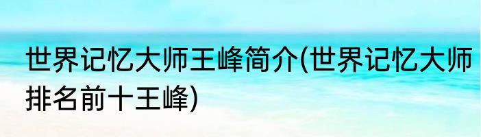世界记忆大师王峰简介(世界记忆大师排名前十王峰)