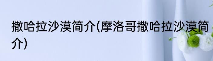 撒哈拉沙漠简介(摩洛哥撒哈拉沙漠简介)