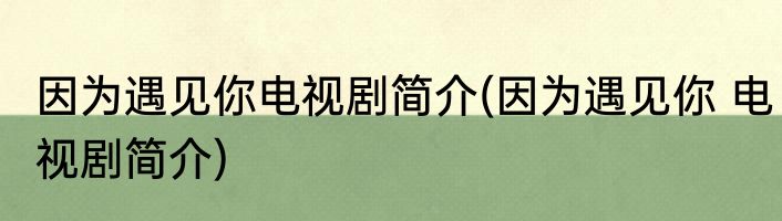 因为遇见你电视剧简介(因为遇见你 电视剧简介)
