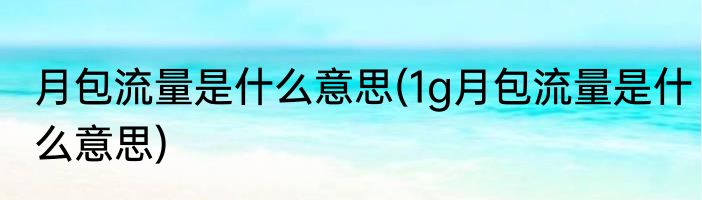 月包流量是什么意思(1g月包流量是什么意思)