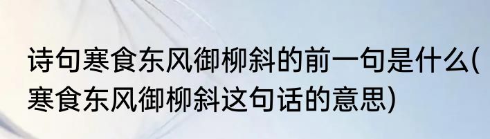 诗句寒食东风御柳斜的前一句是什么(寒食东风御柳斜这句话的意思)