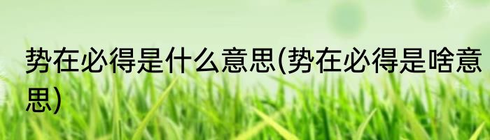 势在必得是什么意思(势在必得是啥意思)