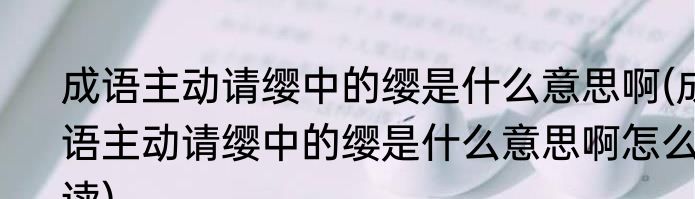 成语主动请缨中的缨是什么意思啊(成语主动请缨中的缨是什么意思啊怎么读)