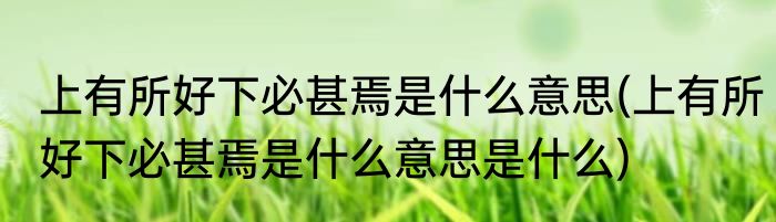 上有所好下必甚焉是什么意思(上有所好下必甚焉是什么意思是什么)