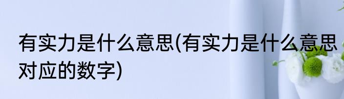 有实力是什么意思(有实力是什么意思对应的数字)