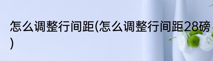 怎么调整行间距(怎么调整行间距28磅)