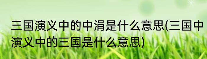 三国演义中的中涓是什么意思(三国中演义中的三国是什么意思)