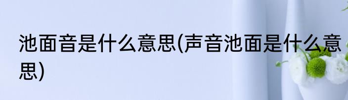 池面音是什么意思(声音池面是什么意思)