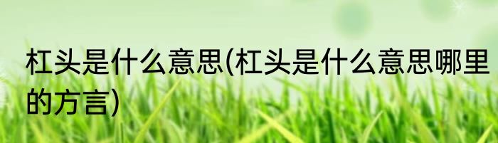 杠头是什么意思(杠头是什么意思哪里的方言)