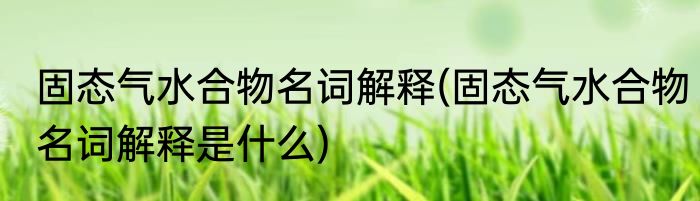 固态气水合物名词解释(固态气水合物名词解释是什么)