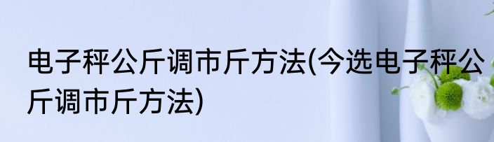 电子秤公斤调市斤方法(今选电子秤公斤调市斤方法)