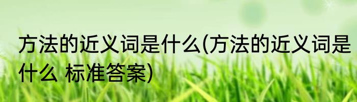 方法的近义词是什么(方法的近义词是什么 标准答案)